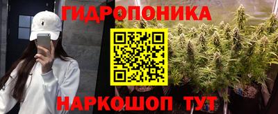 винт Будённовск