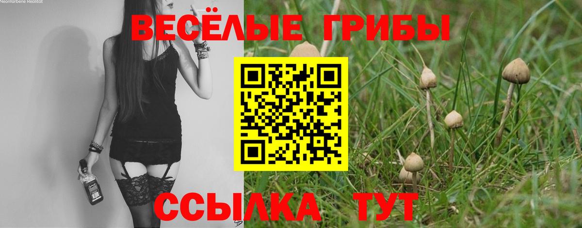 Псилоцибиновые грибы Magic Shrooms Нягань